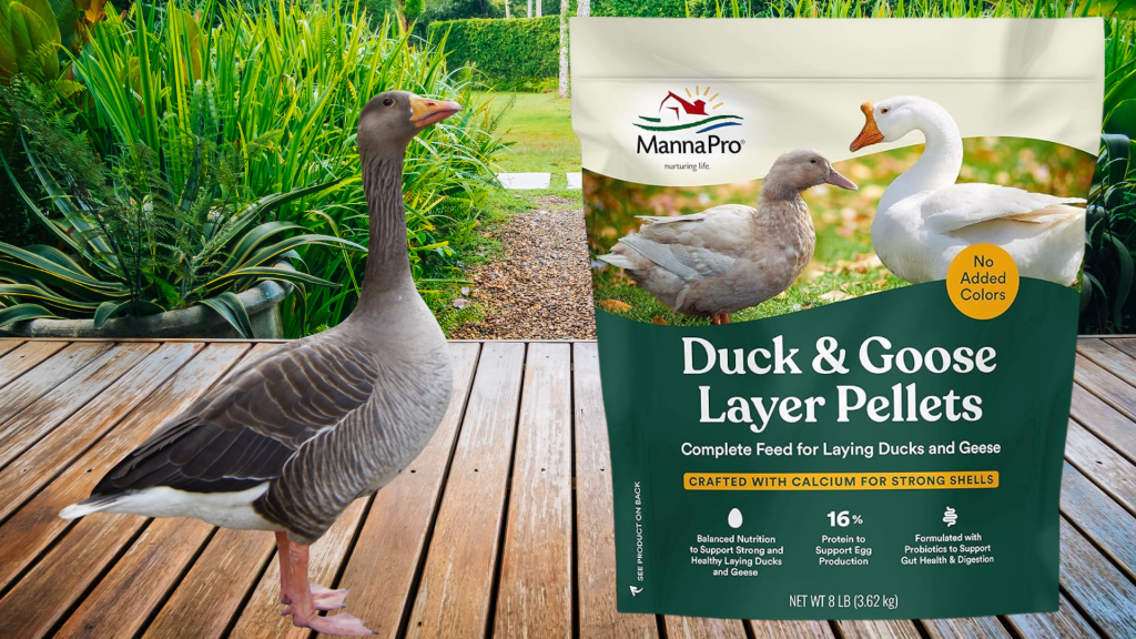 Manna pro duck and goose layer pellet