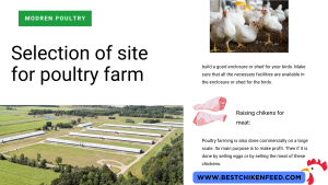 Poultry Farming