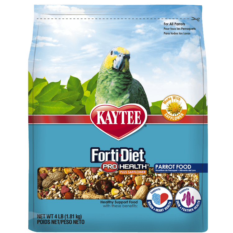 kaytee parrot food