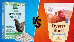 Manna Pro Crushed Oyster Shell vs Small Pet Select Flaked Oyster and Seashell Mix