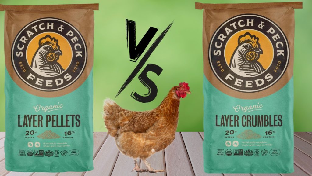 Scratch and Peck Feeds Organic Layer Pellets VS Organic layer Crumbles-Chicken and Duck Feed