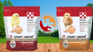 Purina Chick starter feed Medicated & Non Medicated